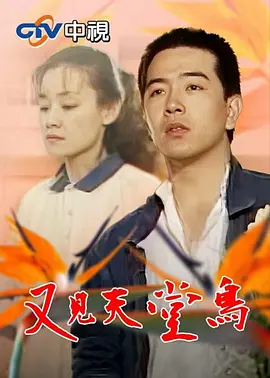 又见天堂鸟(全集)