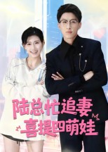 陆总忙追妻喜提四萌娃(全集)
