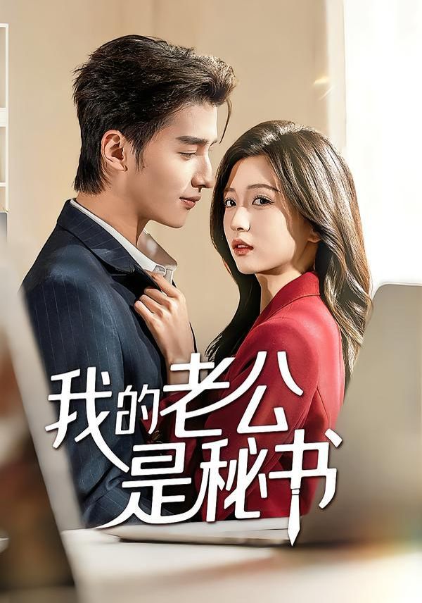 我的老公是秘书(全集)