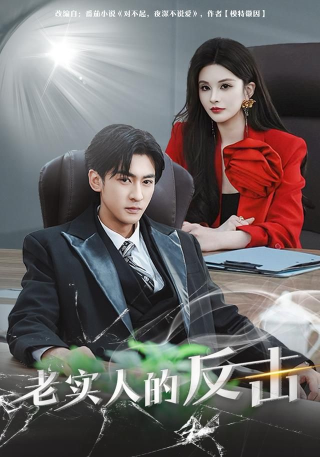老实人的反击(全集)
